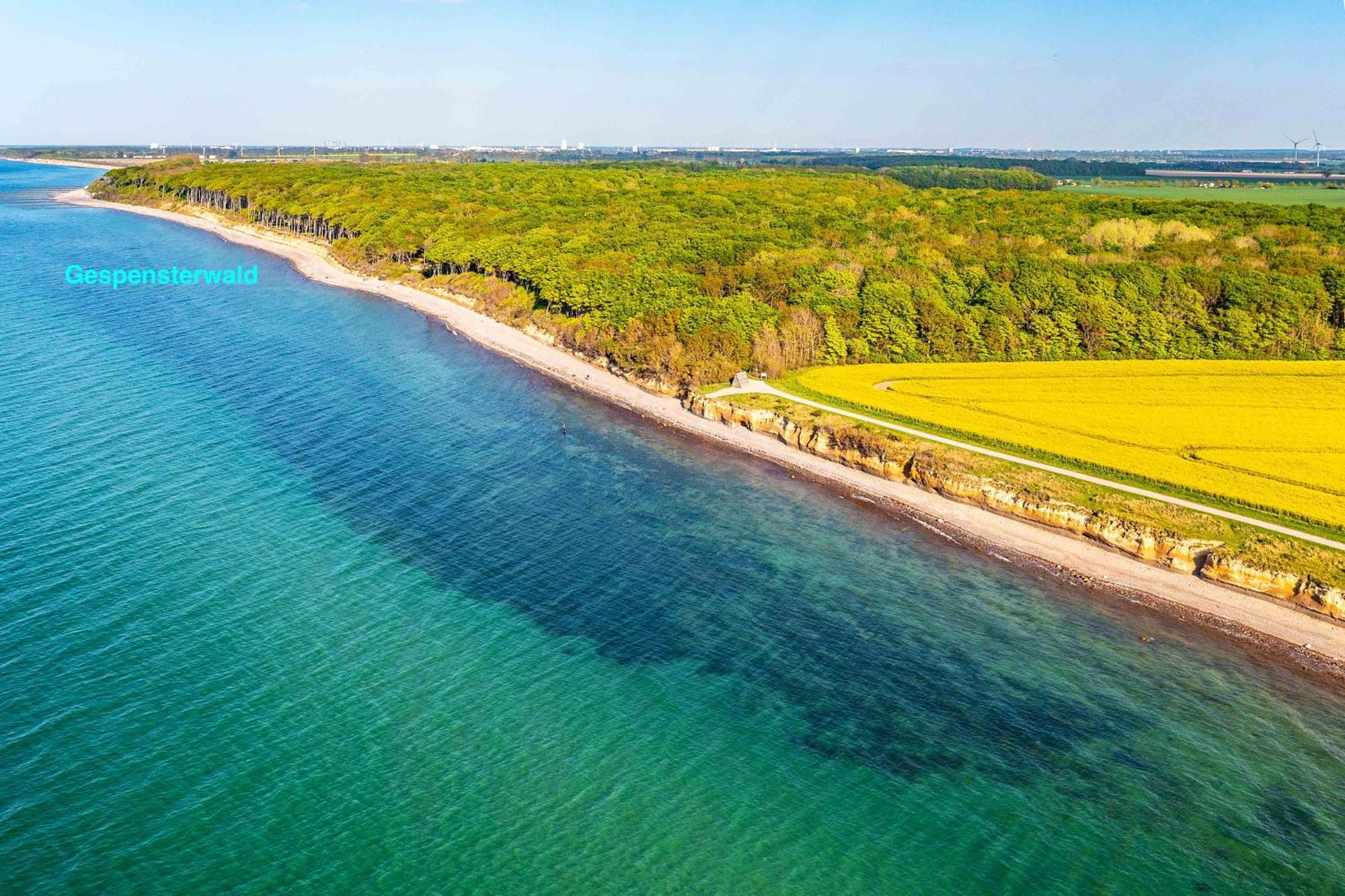 Villa Deichgraf 12 "Meerblick" Börgerende-Rethwisch Kültér fotó