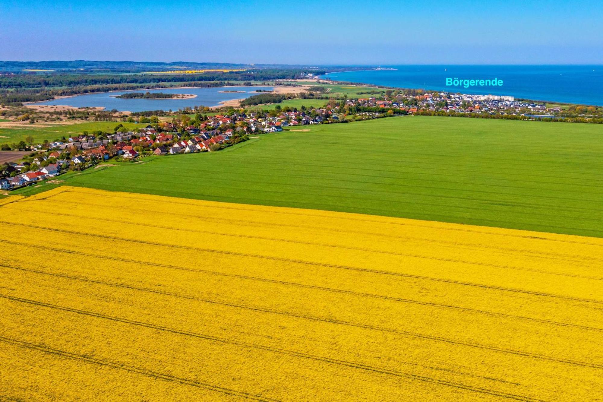 Villa Deichgraf 12 "Meerblick" Börgerende-Rethwisch Kültér fotó